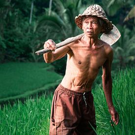 Agriculteur sur les rizières en terrasses de Tegalalang à Ubud, Bali. sur Roman Robroek - Photos de bâtiments abandonnés