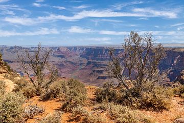 GRAND CANYON Idylle am Navajo Point von Melanie Viola