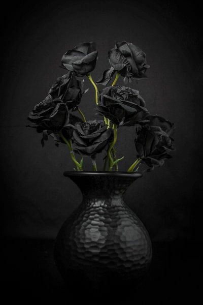 Colours 10 Black by Natasja van Heesch