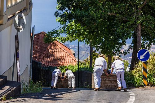 Balade en traîneau à panier sur Madère