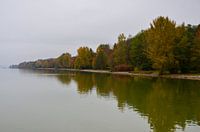 Herfst Kleurrijke bomen aan de oever van de Ammersee in Beieren in nevelig grijs weer