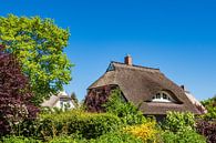 Traditional house on the Fischland-Darß in Wieck by Rico Ködder thumbnail