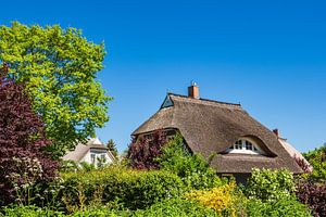 Traditionelles Haus auf dem Fischland-Darß in Wieck