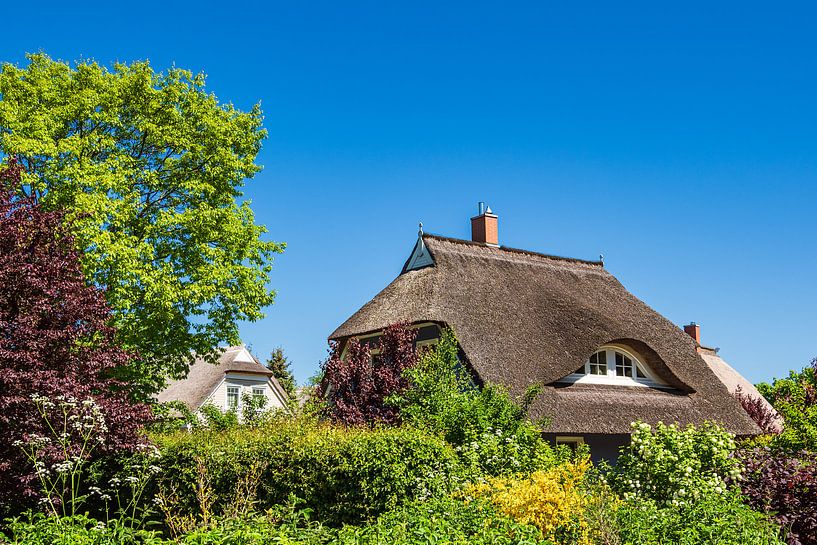 Maison traditionnelle sur le Fischland-Darß à Wieck par Rico Ködder