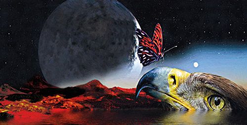 digital art "ADLER & SCHMETTERLING" digital art "EAGLE and BUTTERFLY"