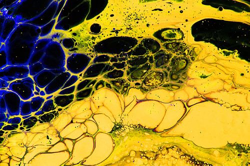 Résumé Structure cellulaire sur Joke Gorter