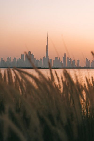Die Skyline von Dubai mit Burj Khalifa, gesehen durch das Strandhafergras mit orangefarbenem Himmel  von Michiel Dros