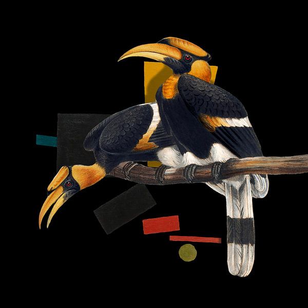 Buceros Bicornis by Marja van den Hurk