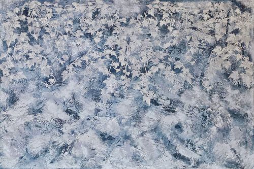 Sluier van sereniteit