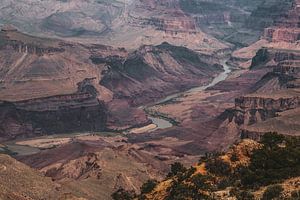 Grand Canyon van Annette van Dijk-Leek