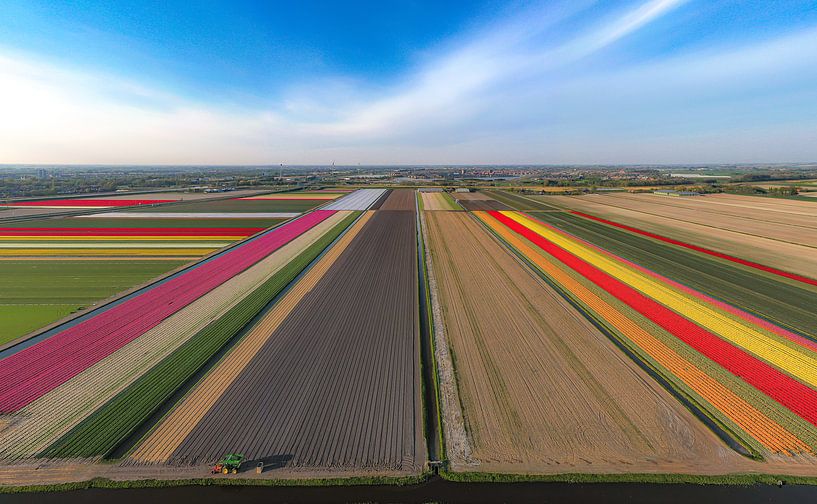 Blumen und Formen von Mike Bot PhotographS