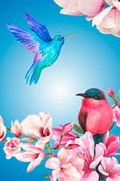 Hummingbird