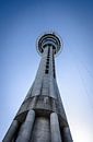 Sky Tower in Auckland, Nieuw Zeeland van Rietje Bulthuis thumbnail