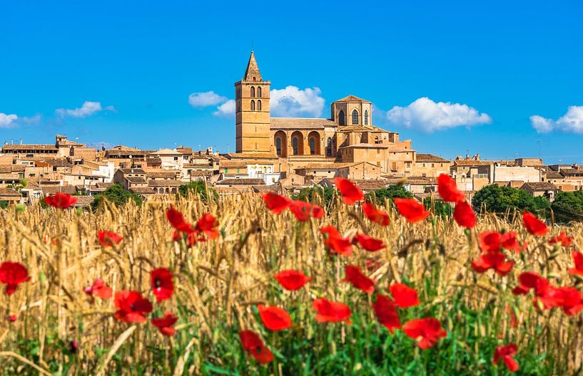View of old village Sineu on Mallorca island, Spain by Alex Winter