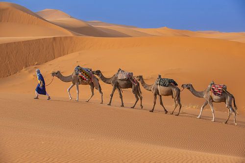 blauer Mann und 4 Kamele