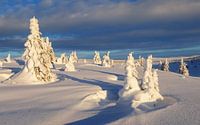 Winter auf der Hochebene, Norwegen von Adelheid Smitt Miniaturansicht