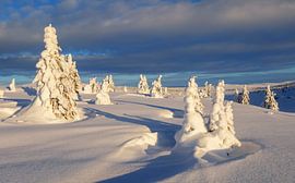 Winter on the plateau, Norway by Adelheid Smitt