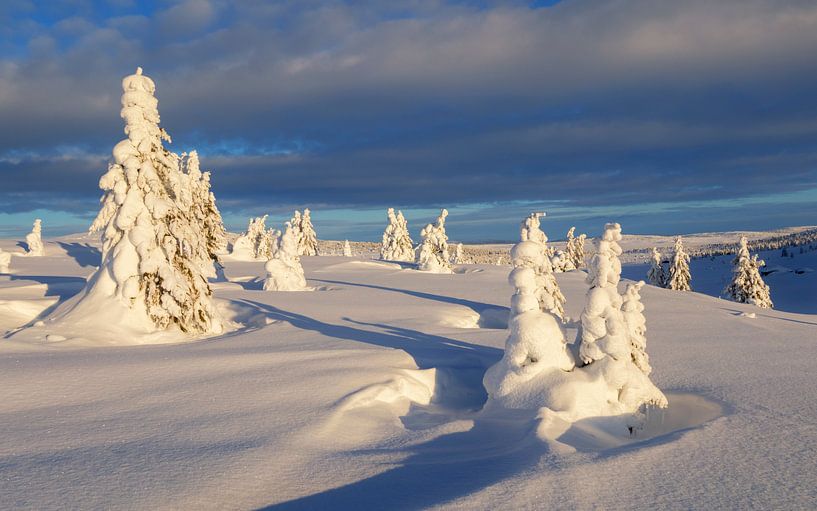 Winter auf der Hochebene, Norwegen von Adelheid Smitt