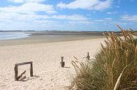 Dünengras im Ellenbogen auf Sylt von Martin Flechsig Miniaturansicht