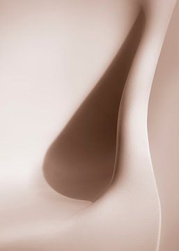 Curves by Judith Spanbroek-van den Broek