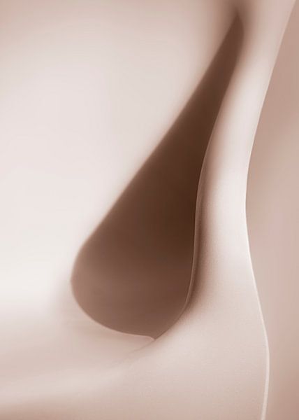 Curves van Judith Spanbroek-van den Broek