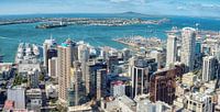 Hafen von Auckland, Neuseeland von Rietje Bulthuis Miniaturansicht