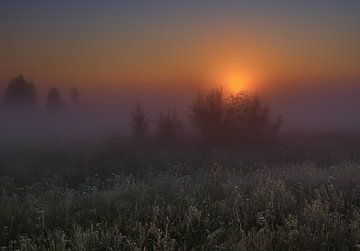 Mystieke sfeer op de heide van Christina Bauer Photos