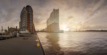 Zonsopgang op de Elbe met de Elbphilharmonie in de haven van Hamburg van Jonas Weinitschke