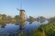 Een prachtige morgen bij Kinderdijk en zijn molens von Dirk van Egmond Miniaturansicht