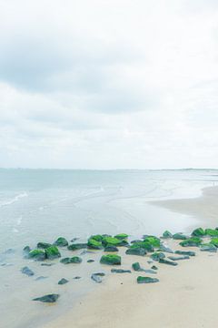 Het verlaten strand van Cadzand van Geert Van Baelen