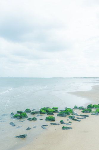 Het verlaten strand van Cadzand