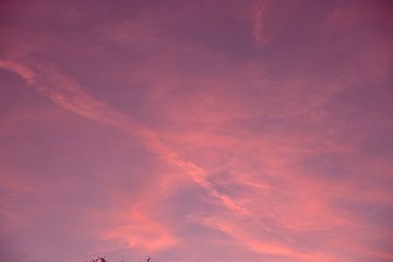 De roze lucht waar iedereen van houdt. van Sanne Van der avoird