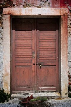 Double wooden brown door with louvered shutters