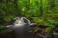 Wasserfall im Harz van Steffen Gierok thumbnail
