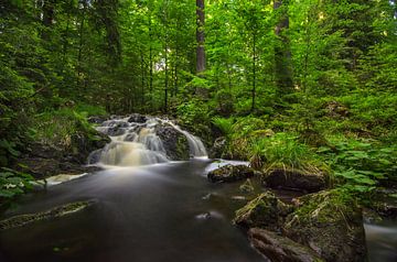 Wasserfall im Harz von Steffen Gierok