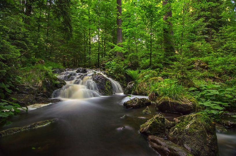 Wasserfall im Harz van Steffen Gierok