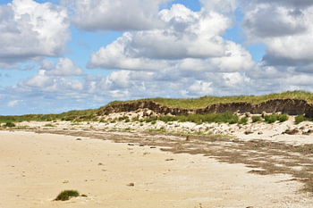 Dijk