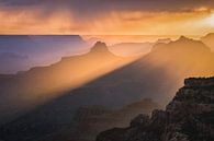 Light in the Canyon van Edwin Mooijaart thumbnail