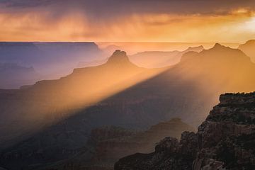 Light in the Canyon by Edwin Mooijaart