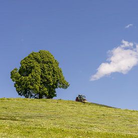  plein été dans l'Allgäu près du tilleul de la paix sur Walter G. Allgöwer