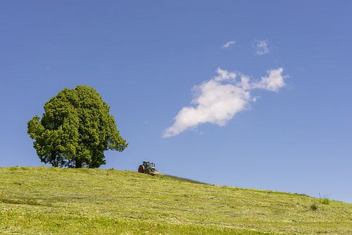 Midsummer in the Allgäu region at the Friedenslinde by Walter G. Allgöwer