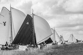 Zeilen om de eer von Johan Kalthof