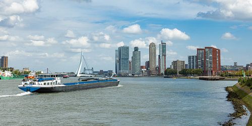 Skyline Rotterdam  025