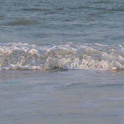 Ein kleines Fleckchen Ruhe in der Natur: Ein ruhig plätscherndes Meer an der niederländischen Küste