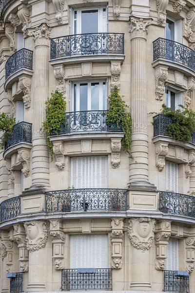 French balconies Paris by Sander Groenendijk
