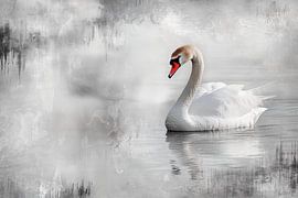 cygne