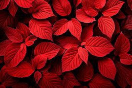 Rote Blätter – Natürliche Textur von Poster Art Shop