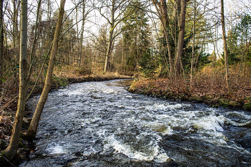 The 'wild' Swalm by Strooptocht.EU