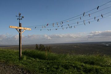 Clothesline and Blue sky van Ioanna Stavrakaki