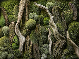 Tactile relief featuring moss and driftwood